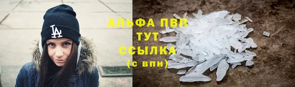 PSILOCYBIN Балахна