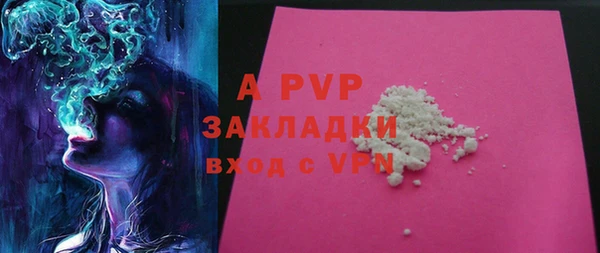 PSILOCYBIN Балахна
