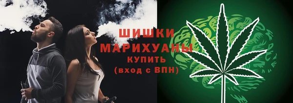 PSILOCYBIN Балахна