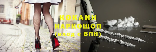 шишки Балабаново