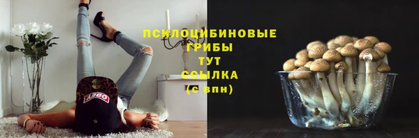 винт Баксан