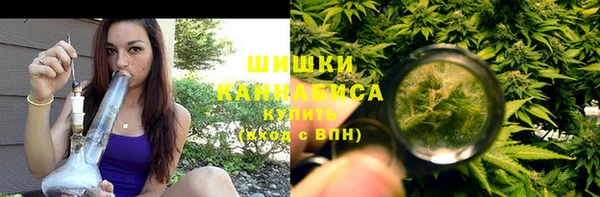 шишки Балабаново