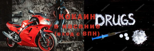 шишки Балабаново