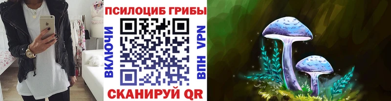 Галлюциногенные грибы мухоморы  Сланцы 